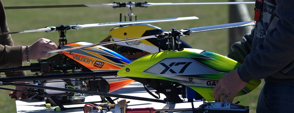 A Murder of Helis