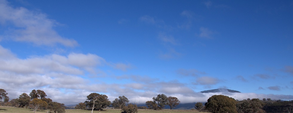 Williamsdale Heli Field